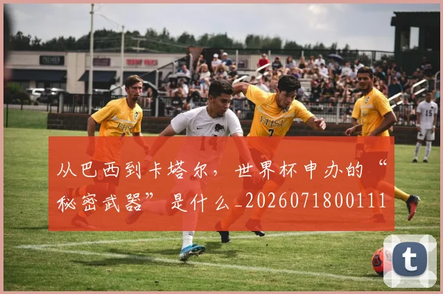 从巴西到卡塔尔，世界杯申办的“秘密武器”是什么_20260718001114